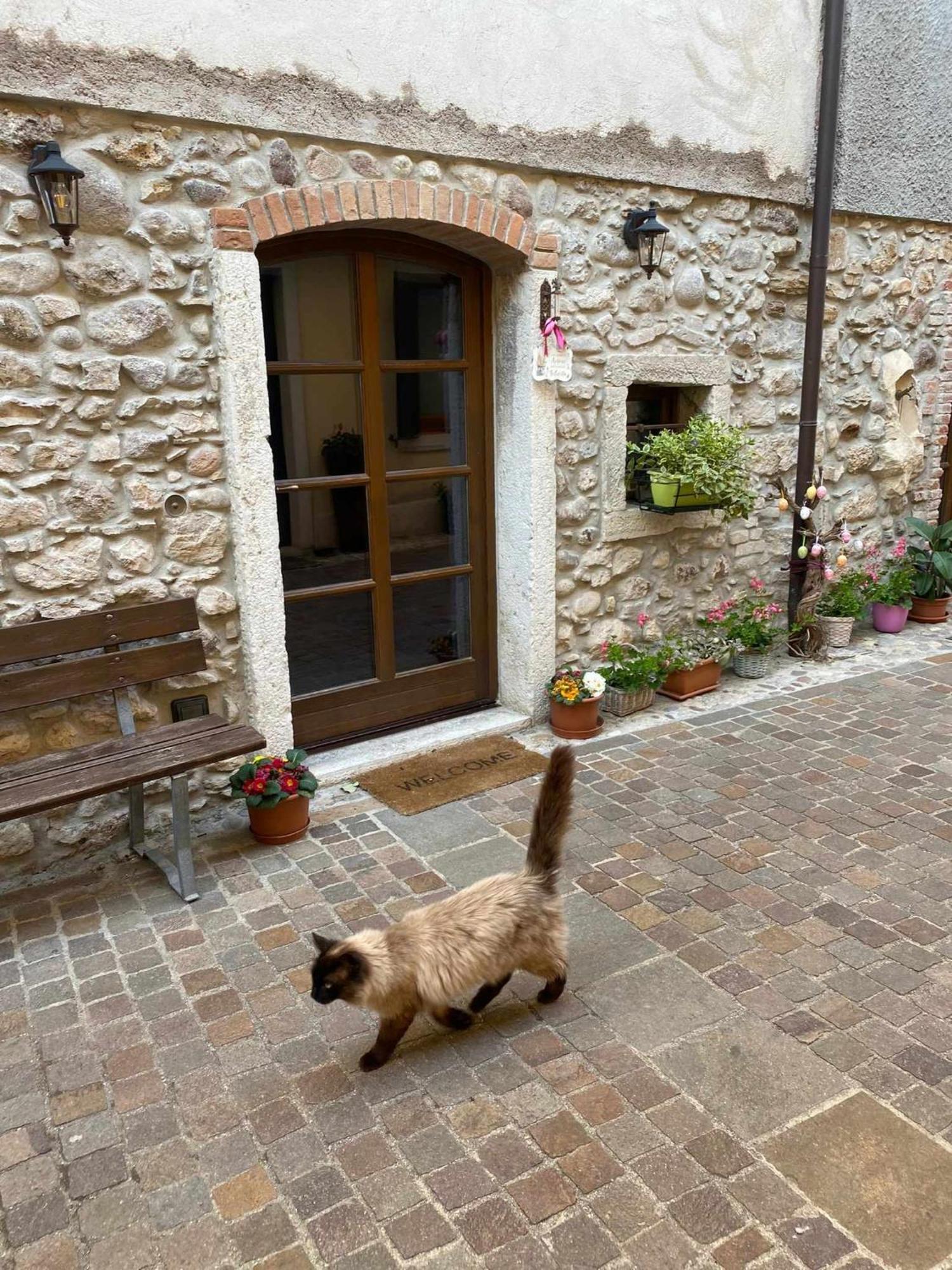 Dimora Belvedere Rustico Vista Lago Wifi Костермано Екстер'єр фото